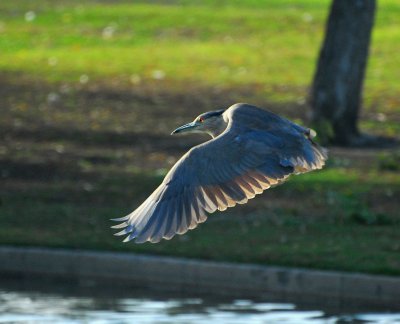 PC-DSC_0058.JPG