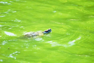 PC-DSC_0039.JPG