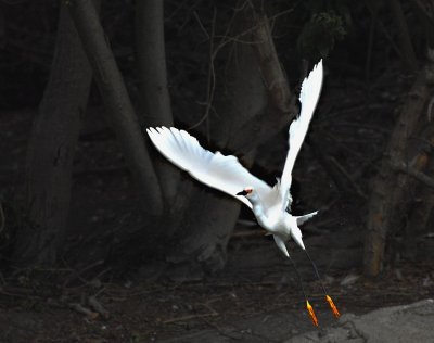 PC-1DSC_0022.jpg