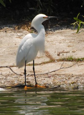 1sDSC_0030.jpg