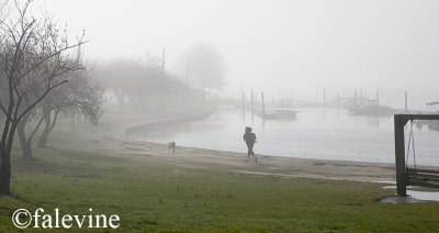 morning_harbor