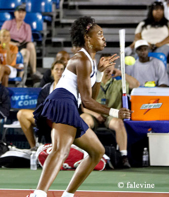 venus_williams