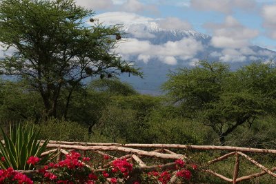 Kilimanjaro