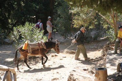 Samaria  gorge