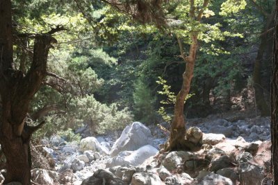 Samaria  gorge