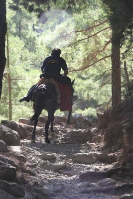 Samaria  gorge