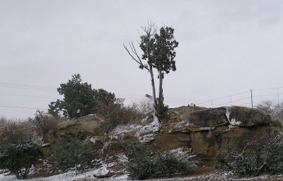 12-29-06 parking lot snow.jpg