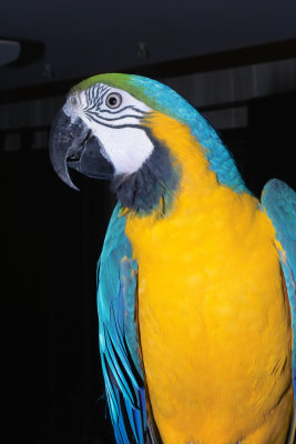 IMG05841.jpg