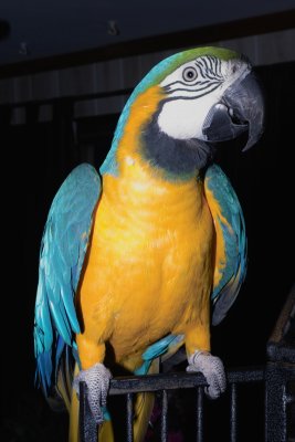 IMG05843.jpg