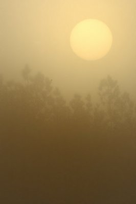 4/2/07 - Foggy Sunrise