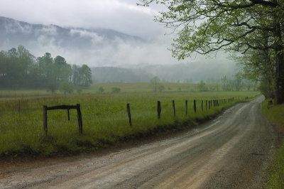 5/10/07 - Rainy, Misty Lane