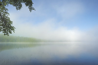 7/30/07 - Morning Mist