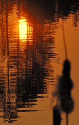9/8/07 - Golden Pond Sunrise