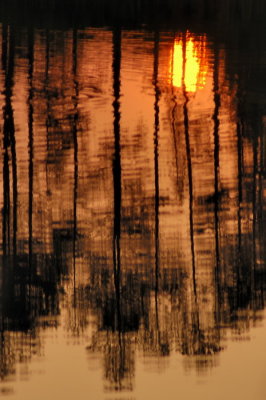 9/8/07 - Sunrise on Golden Pond