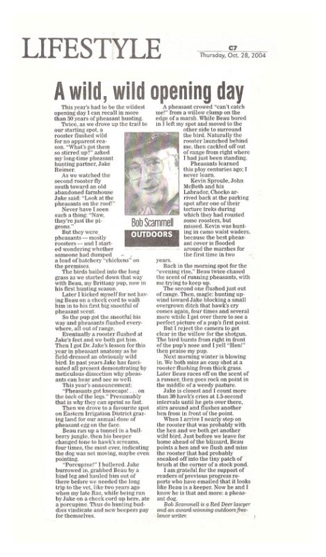 October 28, 2004