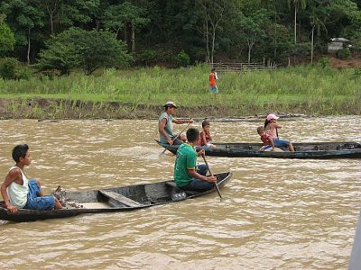 amazon they came out to see cruise ship - boca da veleria