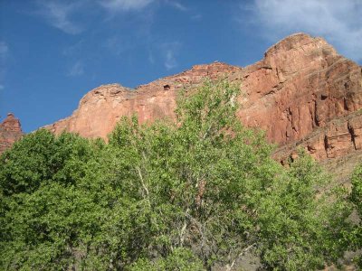 looking up from indian gardens