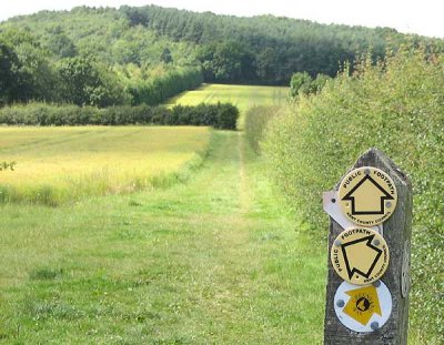 from shipbourne churchyard