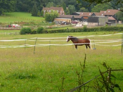 near the pub