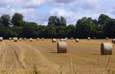 that's a load of bales!