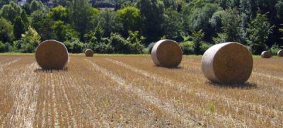 near eynsford