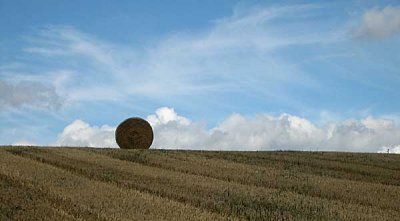 large field big sky