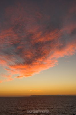_N0Z0551-01.jpg