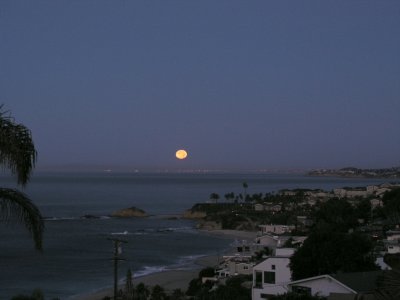 Random Laguna Beach shots