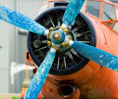 _MG_4576-Edit.jpg