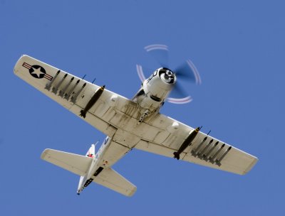 _MG_5390-Edit.jpg