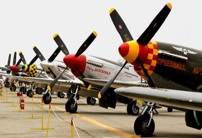 MG_4580-Edit.jpg