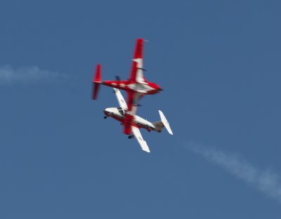 snowbirds-7746.jpg