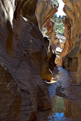 Slot Canyon in Grand Staircase-Escalante National Monument