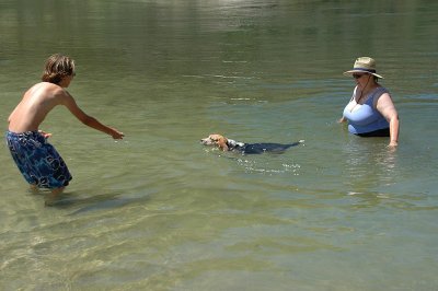 Convincing Shiloh to swim in the Salmon River