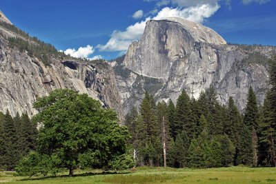 IMG_2915 Half Dome from valley.jpg