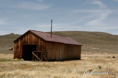 Bodie-102.jpg