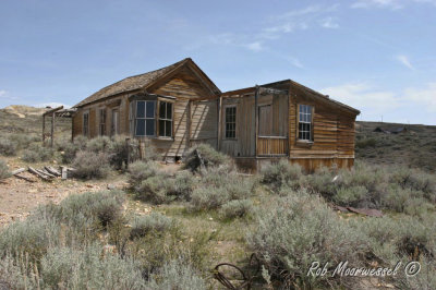 Bodie-139.jpg