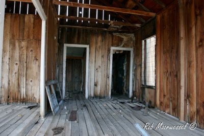 Bodie-153.jpg