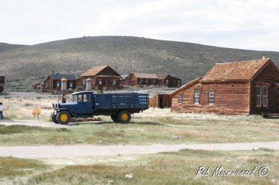 Bodie-158.jpg
