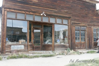 Bodie-163.jpg