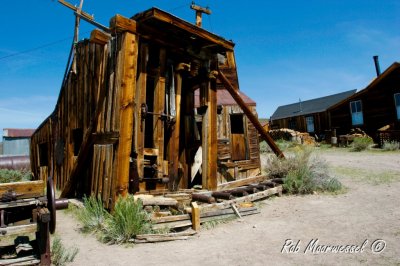 Bodie-17.jpg