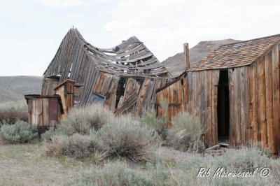 Bodie-171.jpg