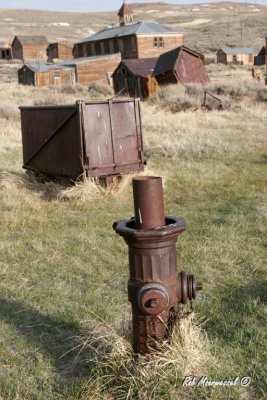 Bodie-184.jpg