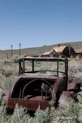 Bodie-207.jpg