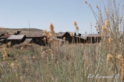Bodie-211.jpg