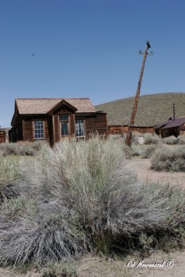 Bodie-215.jpg