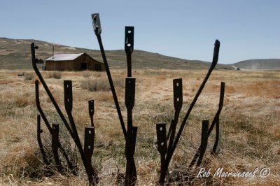 Bodie-218.jpg
