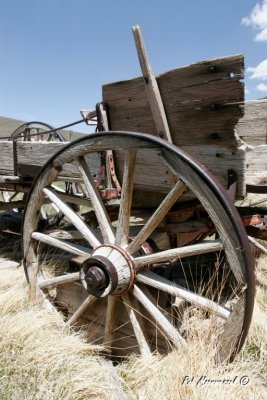 Bodie-225.jpg
