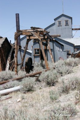 Bodie-230.jpg