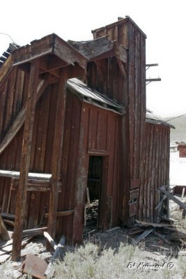 Bodie-235.jpg